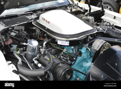 Trans Am